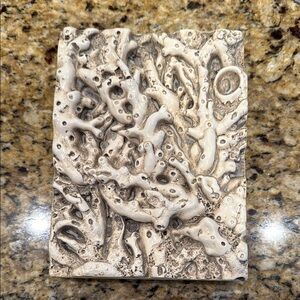 NEW AUTOGRAPHED SID DICKENS SEA GARDEN